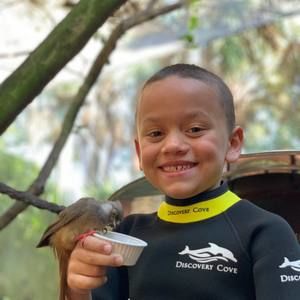 Meet your Posher, Alisa